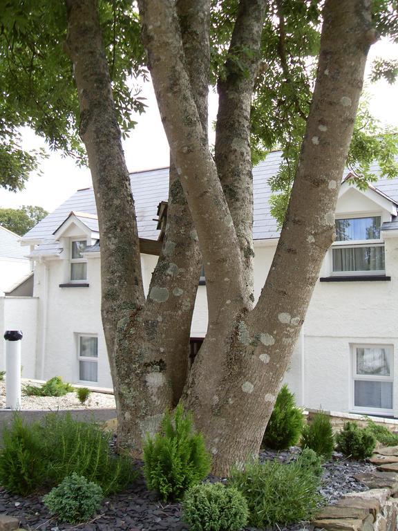 Beggars Reach Hotel Pembroke Dock Exterior foto